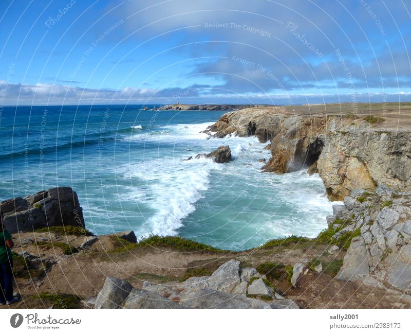 wild coast... Coast Atlantic Ocean Surf Waves Cliff steep coast France Brittany Cote Sauvage Beautiful weather Landscape Wild Rough Rock Nature Bay