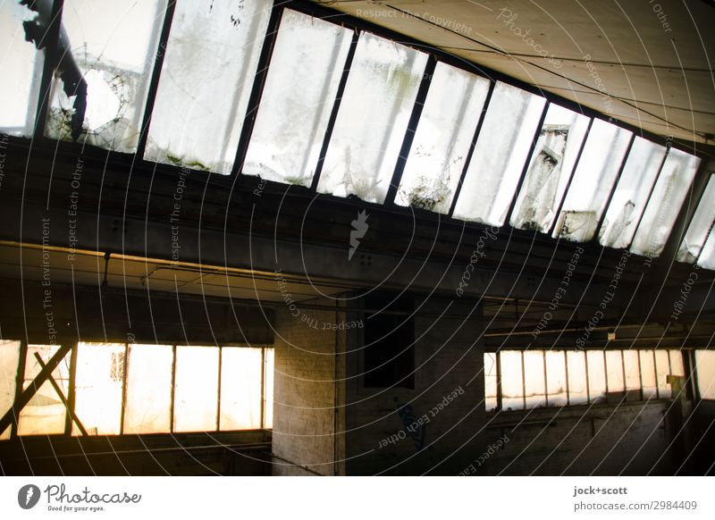 Reverberation in hall Ruin Hall Roof Column Glazed facade Transience lost places Ravages of time Shaft of light GDR Derelict Structures and shapes Shadow