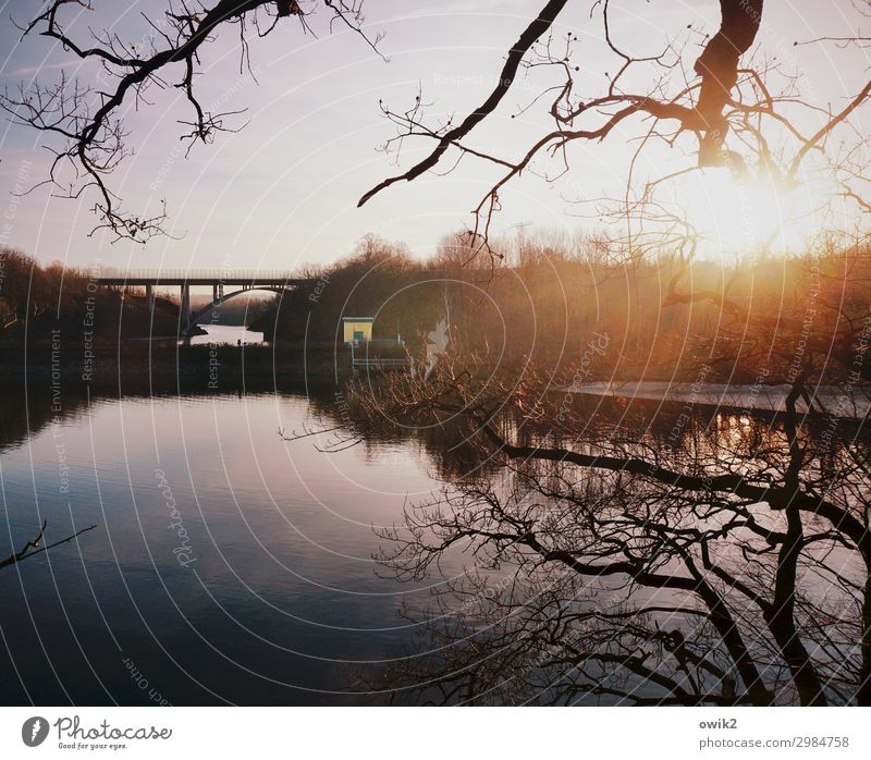 At the headwater Environment Nature Landscape Water Cloudless sky Horizon Sun Winter Beautiful weather Plant Tree Lake Bautzen Lausitz forest Germany Concrete