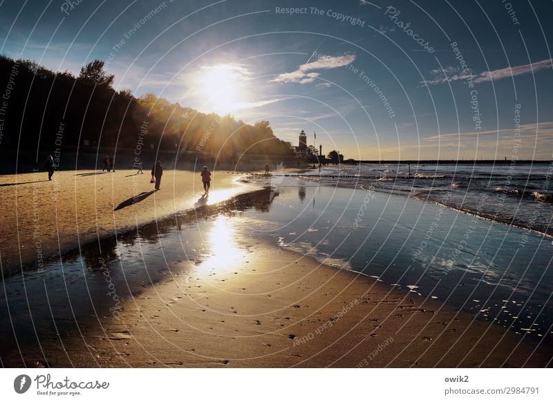 catwalk Environment Nature Landscape Water Sky Clouds Horizon Sun Autumn Climate Beautiful weather Tree Coast Beach Baltic Sea Sand Kolobrzeg Poland