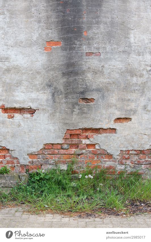 decayed wall background with text space Wall (barrier) Wall (building) Facade Old Decline Grunge Background picture Plaster Weed Weathered Broken Crumbled Brick