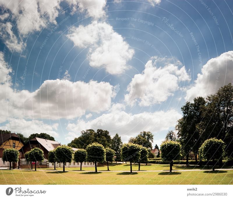 castle promenade Environment Nature Landscape Sky Clouds Horizon Spring Beautiful weather Tree Grass Park Meadow Village House (Residential Structure) Roof