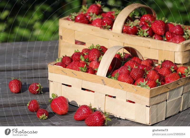 Strawberry Dream Summer Beautiful weather Delicious Basket Garden Fresh Healthy Eating Vegan diet Red Fruit June Crops Natural Harvest Ecological