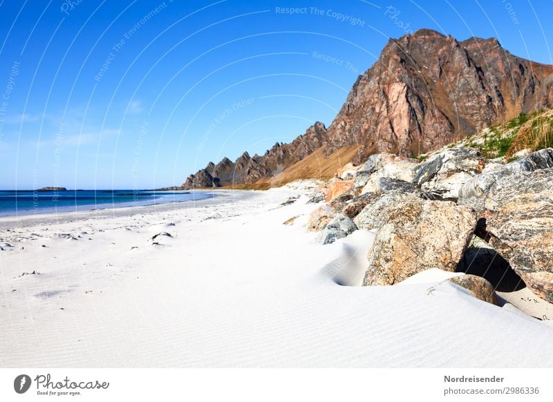 Vesterålen Vacation & Travel Tourism Adventure Far-off places Freedom Camping Summer Summer vacation Sun Beach Ocean Nature Landscape Sand Water