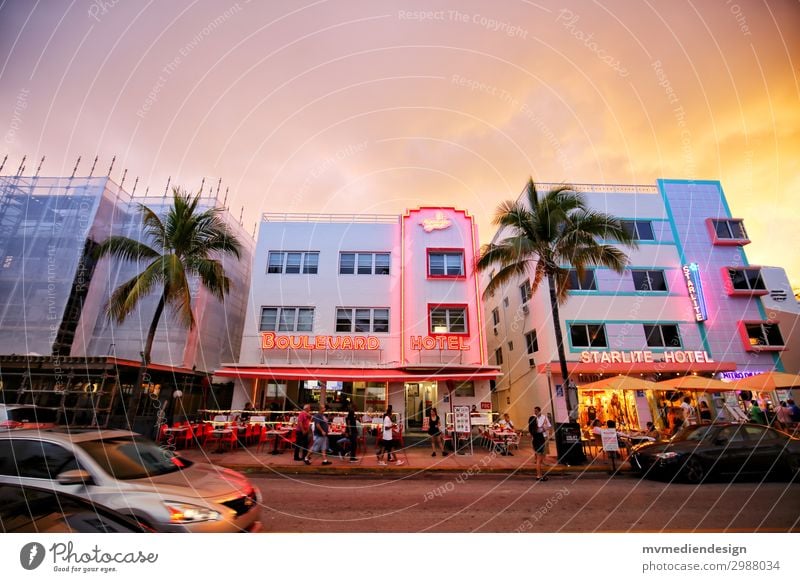 Hotels on Ocean Drive Lifestyle Shopping Town Street Hip & trendy Original Positive Warmth Miami Miami Beach American Flag Florida Palm tree Construction site