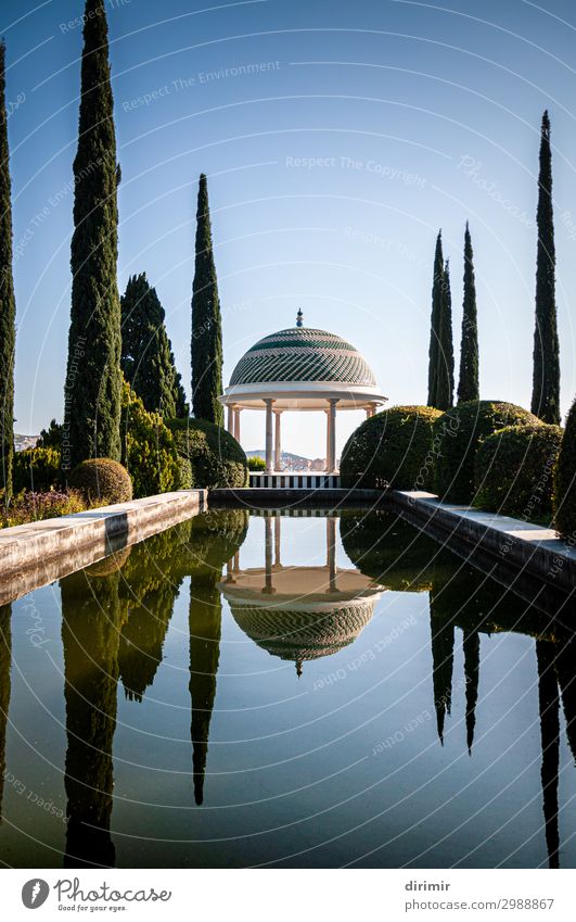 Malaga's botanic garden pond and promenade Beautiful Relaxation Calm Swimming pool Vacation & Travel Tourism Summer Garden Mirror Nature Plant Sky Tree Park