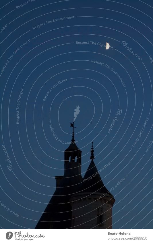 Castle towers with half moon Spire Flag evening mood Half moon Twilight Towers against a blue sky Exterior shot Historic Tourist Attraction Architecture built