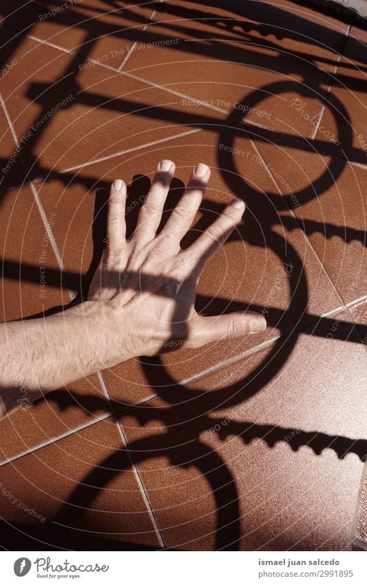 man hand shadow silhouette on the ground Hand Fingers Palm of the hand body part wrist Arm Skin Human being Shadow Light (Natural Phenomenon) Sunlight