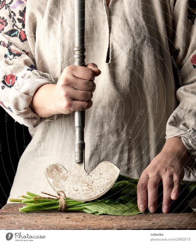 woman in a gray dress is cutting leaves of fresh sorrel Vegetable Lettuce Salad Herbs and spices Nutrition Vegetarian diet Knives Table Kitchen Tool Woman