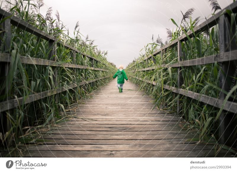 walk Human being Child Dream Walking Boy (child) Infancy 1 1 - 3 years Nature Landscape Plant Clouds Summer Weather Bad weather Grass Running Wild Joy Adventure