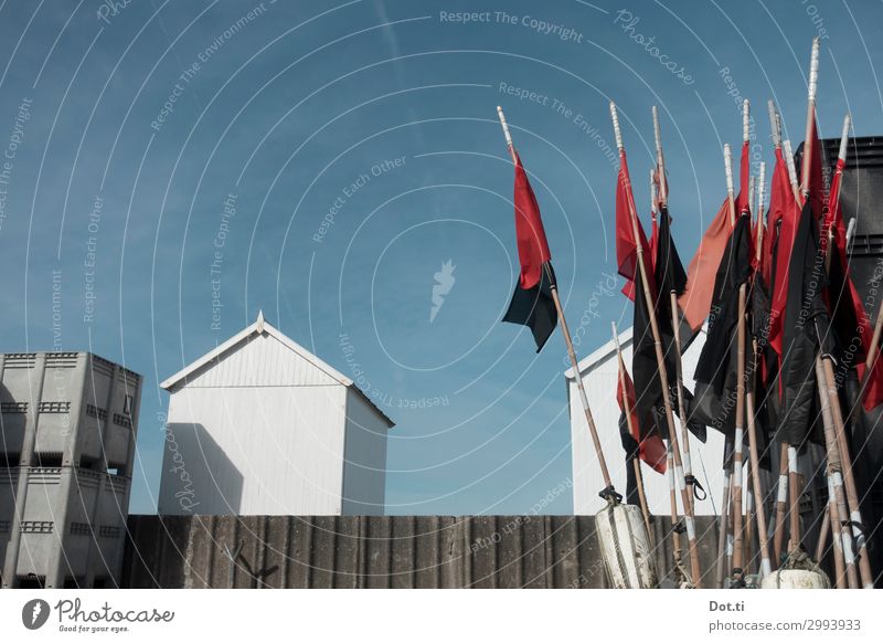 Fritz F. en return Sky Sunlight Fishing village Hut Flag Blue Red White Harbour Fishery Buoy Crate Stalls and stands Closing time Colour photo Exterior shot