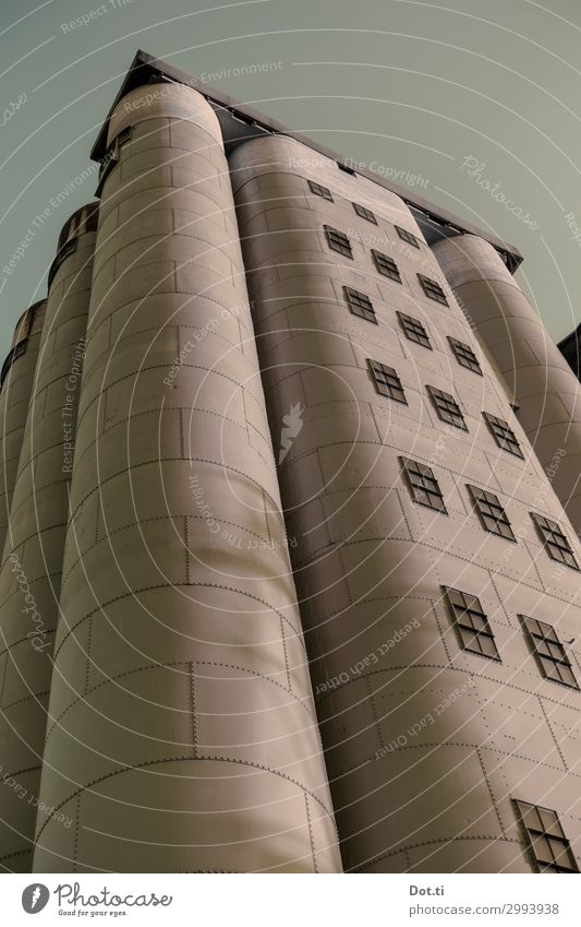 silo Town Deserted Industrial plant Building Round Brown Duisburg Museum Colour photo Subdued colour Exterior shot Copy Space top Worm's-eye view