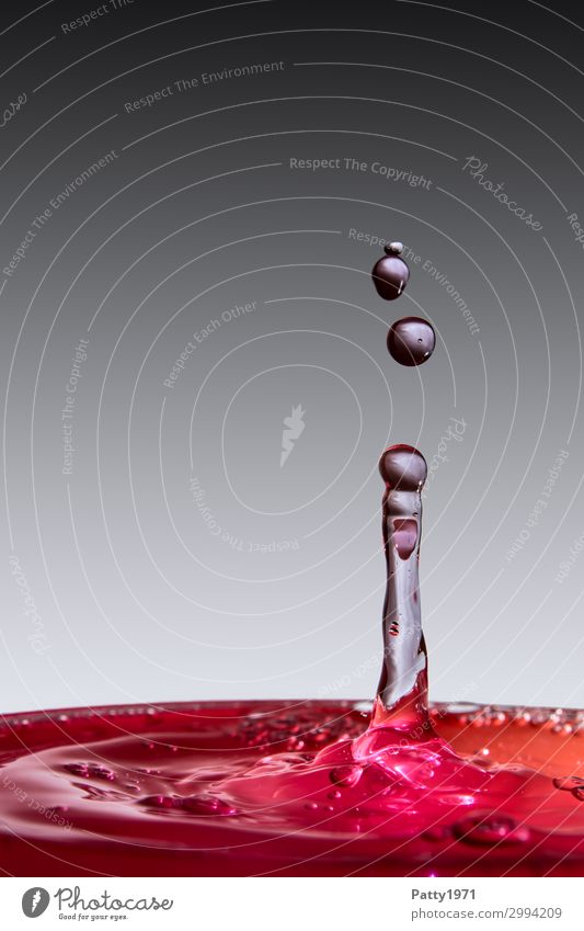 water sculpture Water Drops of water Fluid Glittering Wet Gray Red Black Movement Bizarre Creativity Transparent splash Abstract Studio shot Close-up Detail