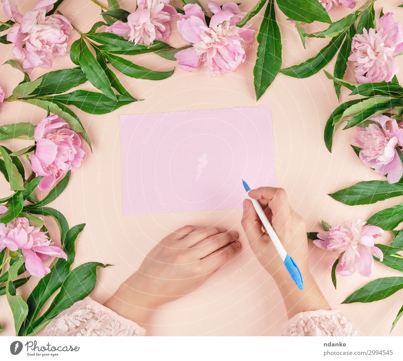 hand holds hand a white pen over empty pink sheet of paper Lifestyle Body Decoration Table Feasts & Celebrations Valentine's Day Mother's Day Wedding Birthday