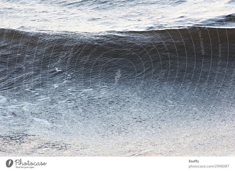 Nordic romance North Sea wave Maritime Energy Nordic romanticism Ocean Seaside atmopshere Nordic nature Romance Illuminating Dynamics Sea water Waves Swell