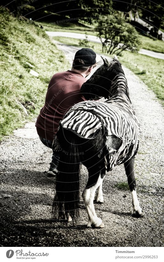 What The Hell Are You Doing? Vacation & Travel Masculine 1 Human being Environment Grass Bushes Park Great Britain Yorkshire Lanes & trails Cap Horse Pony