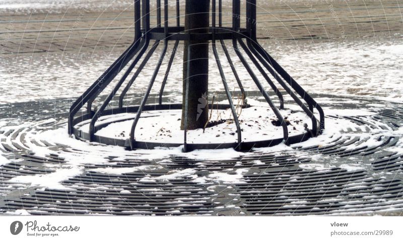 Cold circles Tree Grating Winter Tree trunk Frost Snow