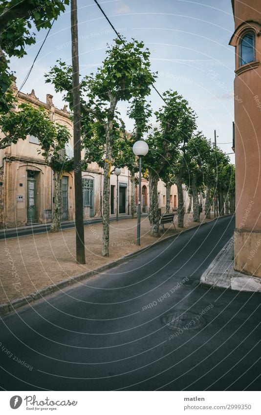 Ramblas Sky Tree Small Town Old town Deserted House (Residential Structure) Architecture Facade Window Door Roof Chimney Traffic infrastructure Road traffic