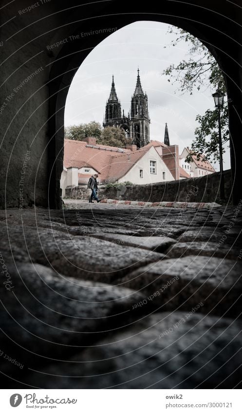 MEISSEN Meissen Small Town Old town Populated House (Residential Structure) Church Dome Goal Wall (barrier) Wall (building) Window Roof Tourist Attraction