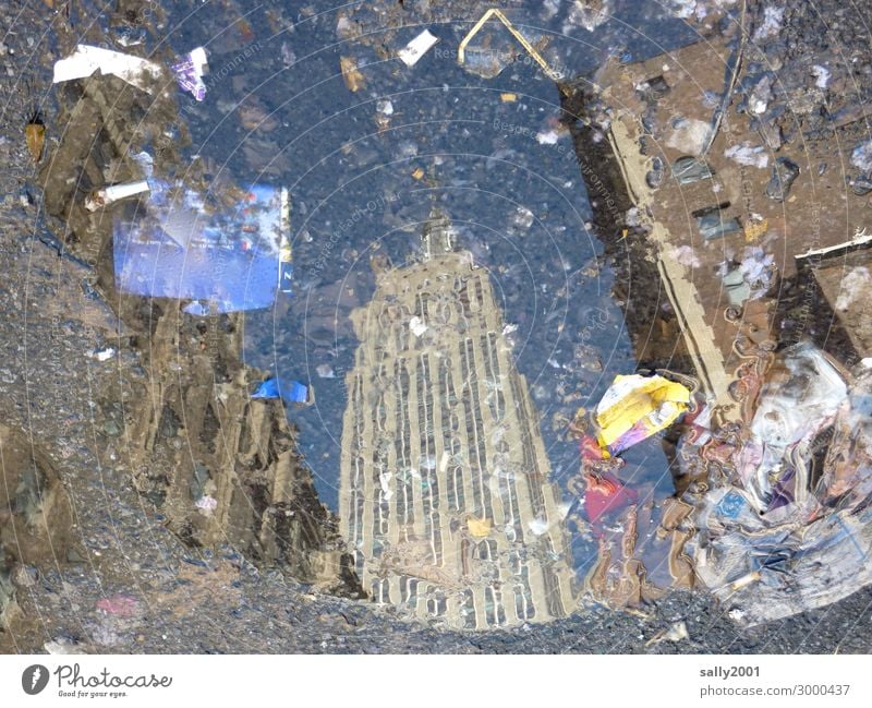 Looking into a New York puddle.... Empire State building reflection Reflection in the water Asphalt Street trash dirt New York City High-rise USA Manhattan