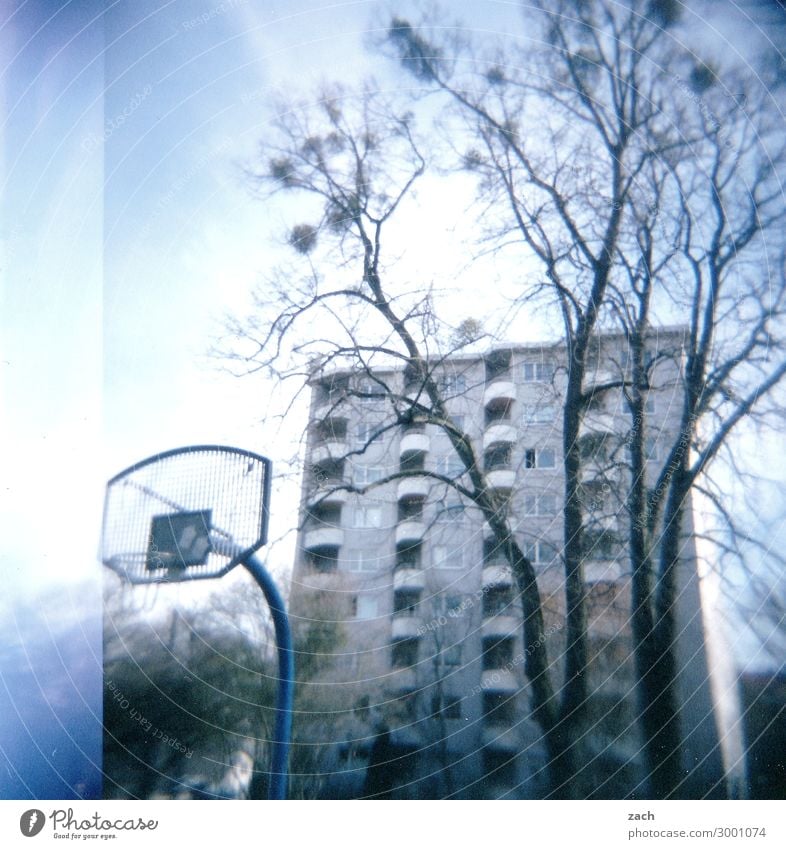 bonjour tristesse Playing Sports Fitness Sports Training Ball sports Basketball Sporting Complex Basketball basket Basketball arena Tree Kassel Village