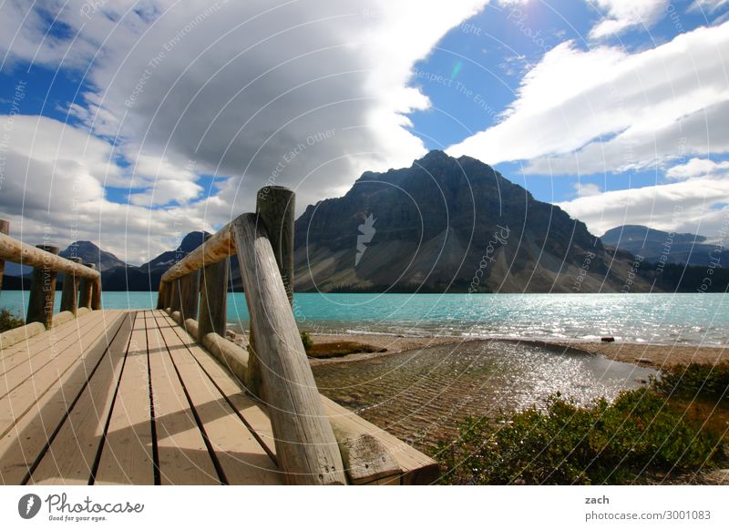 Bow Lake Nature Landscape Water Sky Clouds Beautiful weather Plant Bushes Hill Rock Mountain Rocky Mountains Peak Lakeside bow lake Canada British Columbia