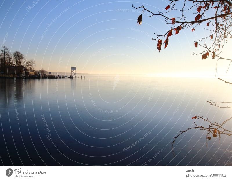 In the morning at the lake Swimming pool Springboard Nature Water Sky Night sky Sunrise Sunset Beautiful weather Lakeside Großer Müggelsee Lake Berlin