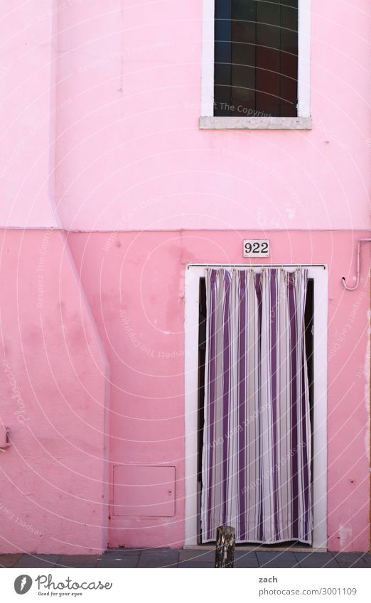 PINk Living or residing House (Residential Structure) Venice Burano Italy Fishing village Old town Wall (barrier) Wall (building) Facade Window Door Wood Violet