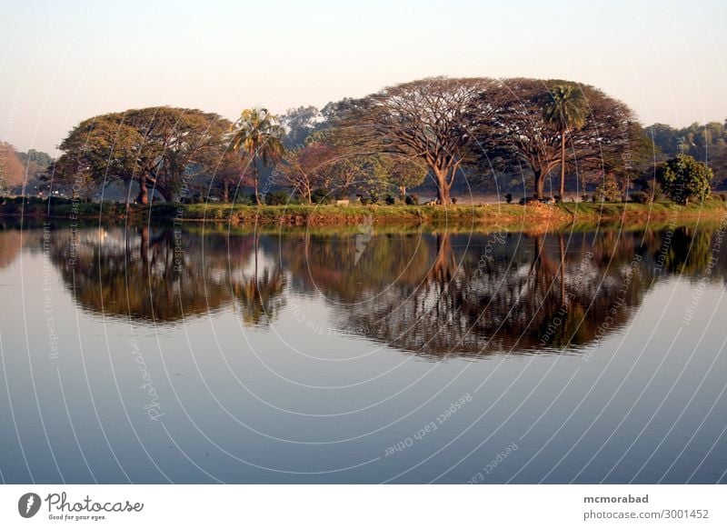 Mirror Image in Morning Light Island Tree Pond Lake Esthetic Beautiful Blue Green Peaceful Serene Horizon trees cape islet placid calm water mirror-like