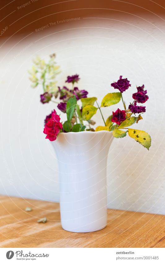 little flowers Flower Blossoming Garden Garden plot Garden allotments Deserted Nature Plant Summer Copy Space Depth of field Vase Bouquet Decoration Table