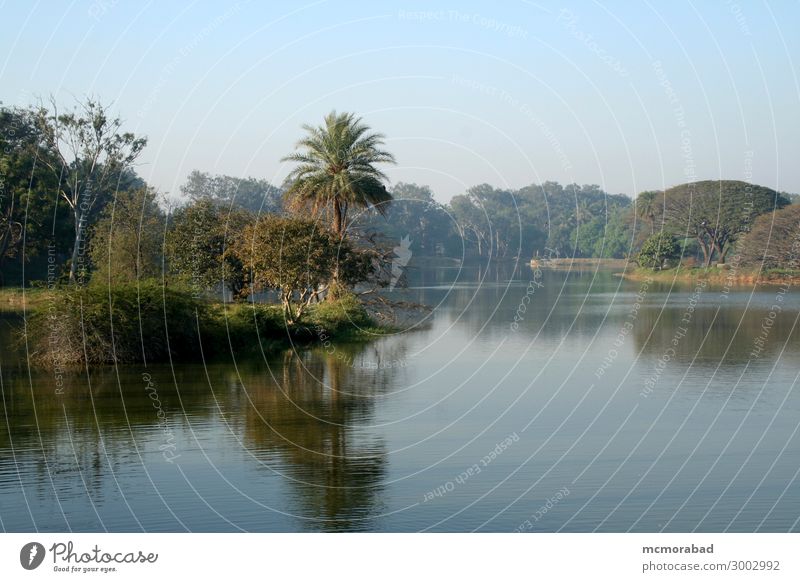 Lake and Landscape Calm Nature Plant Sky Tree Leaf Pond Beautiful Blue Green Cool (slang) Peaceful Serene water tranquil mirror image scenery Scene panorama