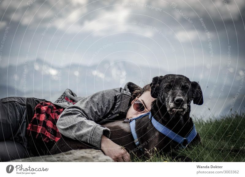 Cuddling with Dog on Mountains Peak Summer Hiking Human being Feminine Young woman Youth (Young adults) 1 Nature Landscape Clouds Alps Snowcapped peak Pet