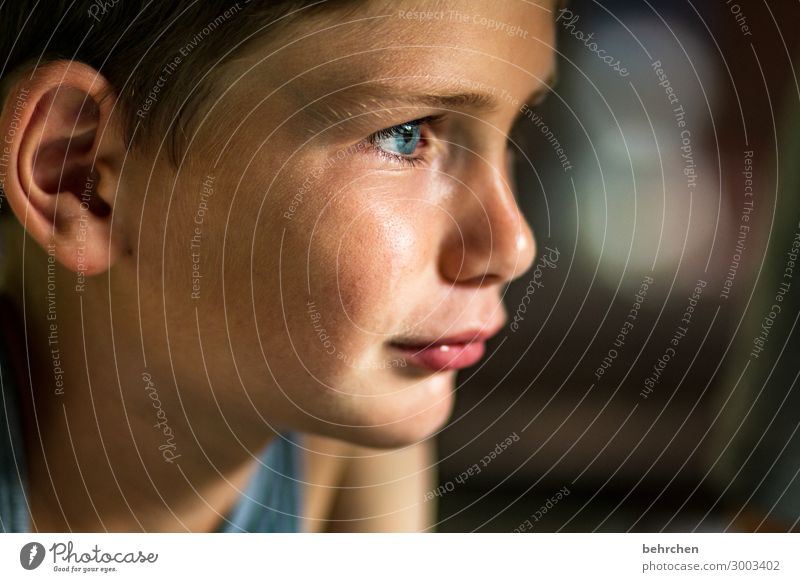 expectant portrait inquisitive Interest inquisitorial Curiosity observantly Face Marvel Sunlight Borneo Malaya Boy (child) Child Adventure Vacation & Travel