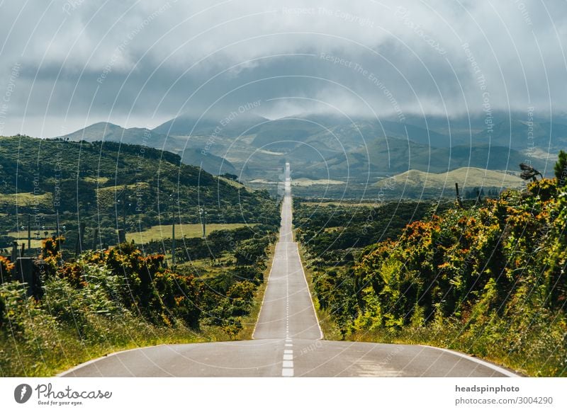 Endless long road to the mountains of Pico, Azores Vacation & Travel Tourism Trip Adventure Expedition Mountain Landscape Plant Bad weather Storm Wind Gale