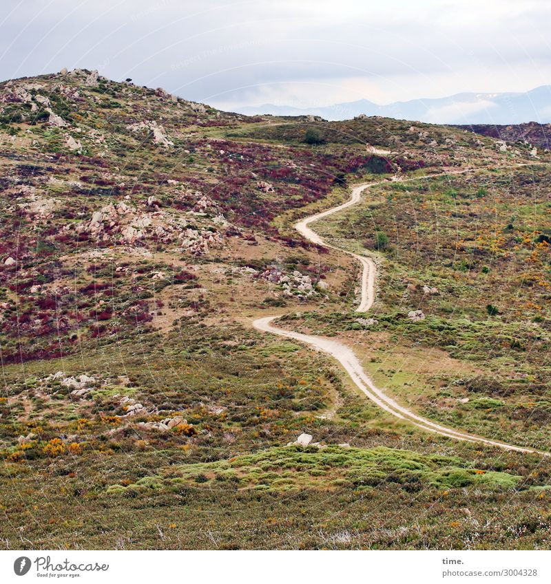 Movie set | on the road again Environment Nature Landscape Sand Sky Clouds Horizon Plant Moss Meadow Rock Mountain Pyrenees Pyrenees-Orientale Street