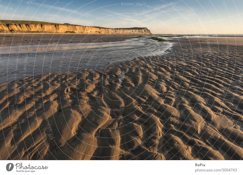 Evening at low tide on the channel near Calais. Lifestyle Luxury Wellness Leisure and hobbies Vacation & Travel Tourism Trip Freedom Summer Summer vacation Sun