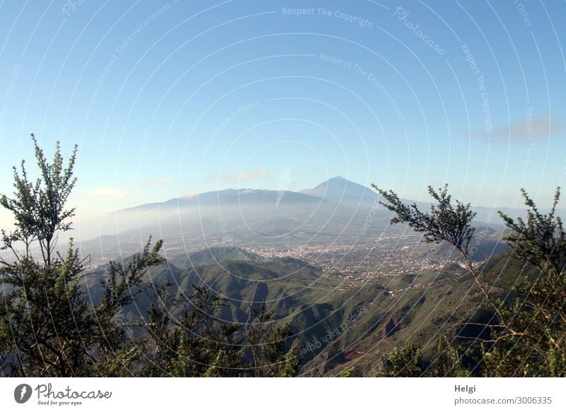 Landscape photo with Anaga mountains, Santa Cruz and in the background the mountain Teide on Tenerife Vacation & Travel Tourism Trip Environment Nature Plant