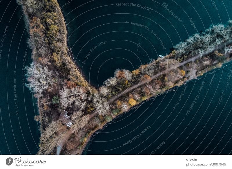 Airy | (e) Perspective Environment Nature Landscape Plant Elements Earth Water Tree Waves Lakeside River bank Lake Baggersee Old Rhine Wet Natural Connect