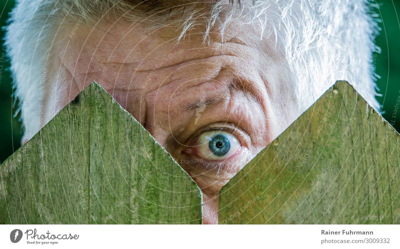 a nosy neighbor looks through a picket fence Curiosity curious Neighbor Looking Exterior shot Day Human being inquisitorial Fence Observe Straw hat