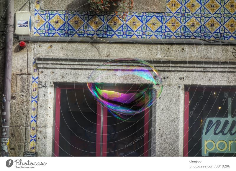 soap bubble Water Drop Round Perspective Soap bubble Multicoloured Air Colour photo Exterior shot Deserted