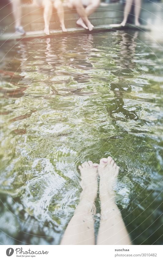 poodle feet Water Wet Refrigeration Swimming & Bathing Lake Water basin Summer Hot Refreshment Inject Surface of water Drops of water Barefoot Wellness Cure