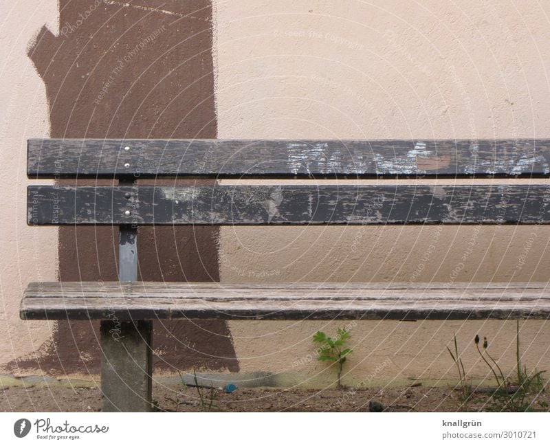 Back to nature Plant Tree Foliage plant Wall (barrier) Wall (building) Bench Graffiti Dirty Town Brown Green Emotions Relaxation Nature Environment Decline