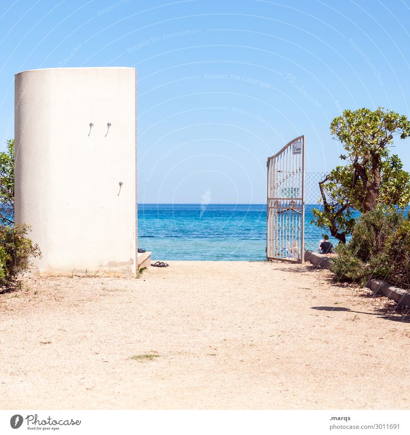 Access to the sea Sardinia Vacation & Travel Cloudless sky Summer Ocean Beach Goal Open Sand Hot Beautiful weather Summer vacation bushes