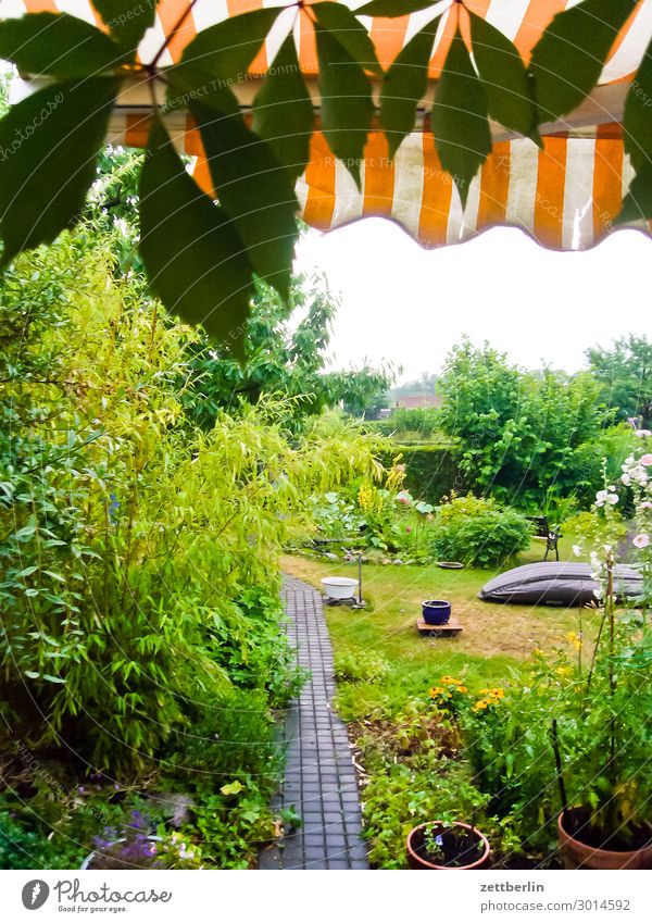 Whale in the garden Flower Blossoming Garden Grass Garden plot Venetian blinds Sun blind Garden allotments Deserted Nature Plant Lawn Meadow Summer Copy Space