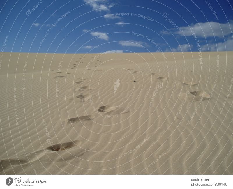 Traces in the sand Vacation & Travel Fuerteventura Summer Beach Clouds Europe Sand Tracks Beach dune Sky