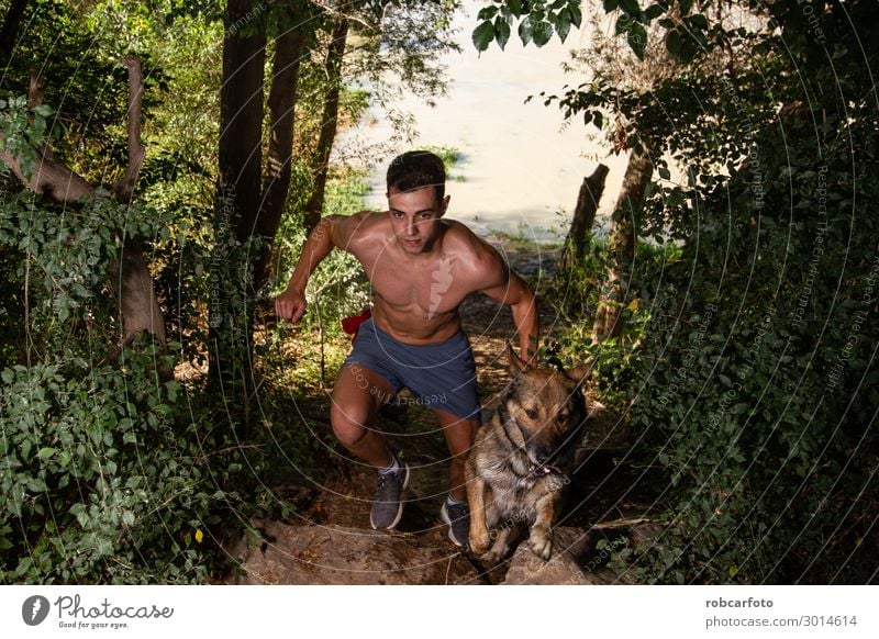 runner running across the field with his dog Joy Happy Leisure and hobbies Summer Sports Jogging Man Adults Nature Landscape Animal Sky Grass Pet Dog Fitness