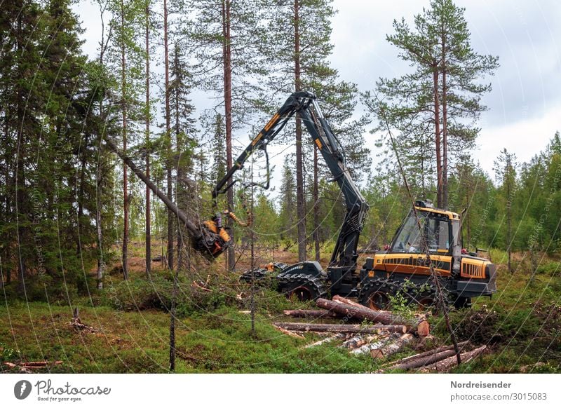 industrial forest Work and employment Profession Workplace Economy Agriculture Forestry Industry Logistics Tool Machinery Technology Advancement Future