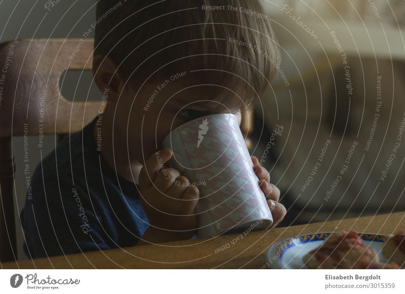 little boy drinking from a cup at the table Food Nutrition Dinner Beverage Drinking Hot drink Hot Chocolate Plate Cup Mug Living or residing Flat (apartment)