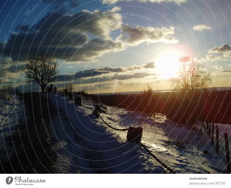 Winter sun 2 Tree Motala Vättern lake Sun Lanes & trails Sweden Snow