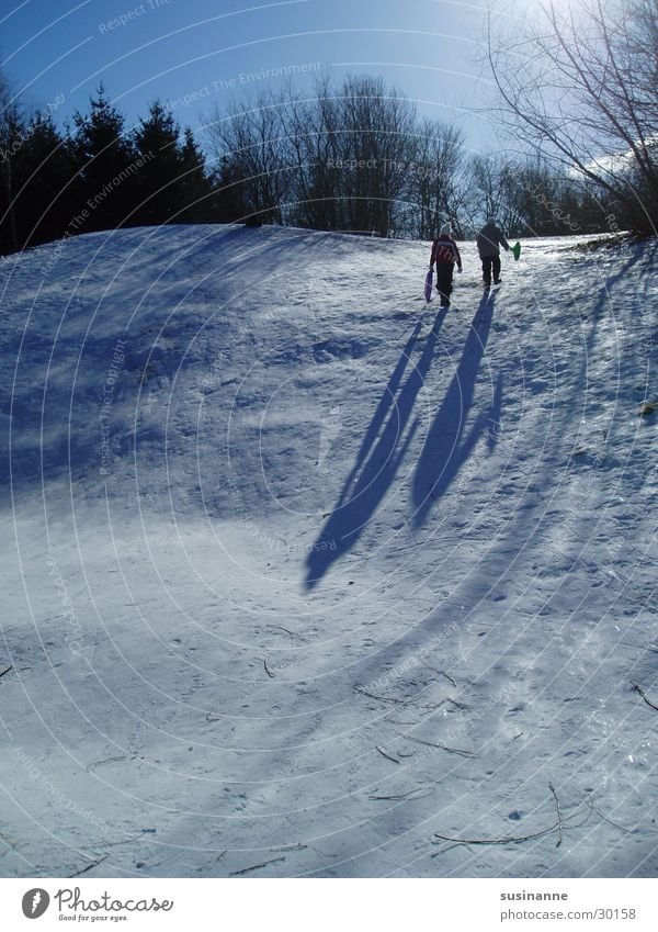 slidparti 2 Winter Sledding Sleigh Motala Snow Shadow Sweden Sunlight Hill Winter's day